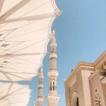 5543d3ff3464c089ce03fd2caa12b757