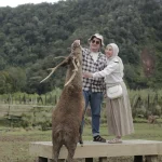 IMG-20251116-WA0009