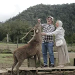 IMG-20251116-WA0010